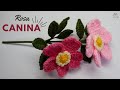 Tutorial Rosa Canina | Dog Rose💜Mayelin Ros