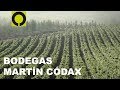 Bodegas martn cdax emblema de los vinos gallegos