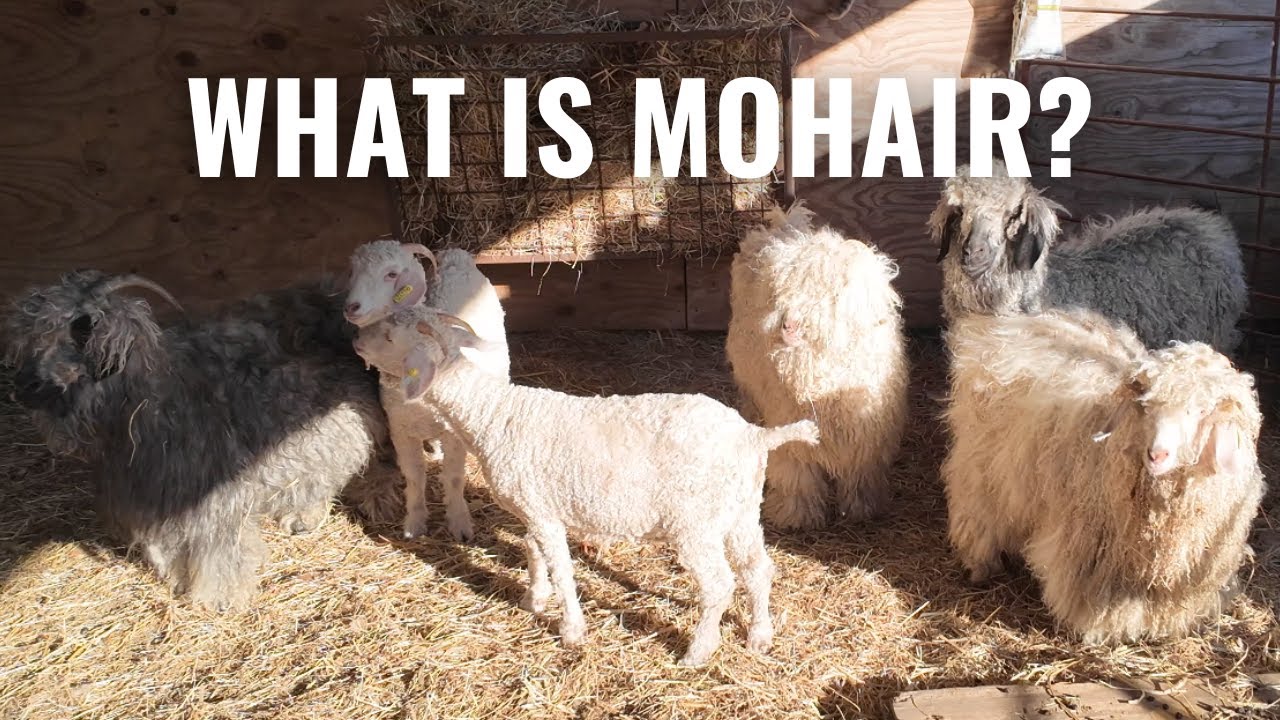 What is Mohair?