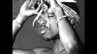 2pac ft Emeli Sande - My Kind of Love (Lipso-D Remix)