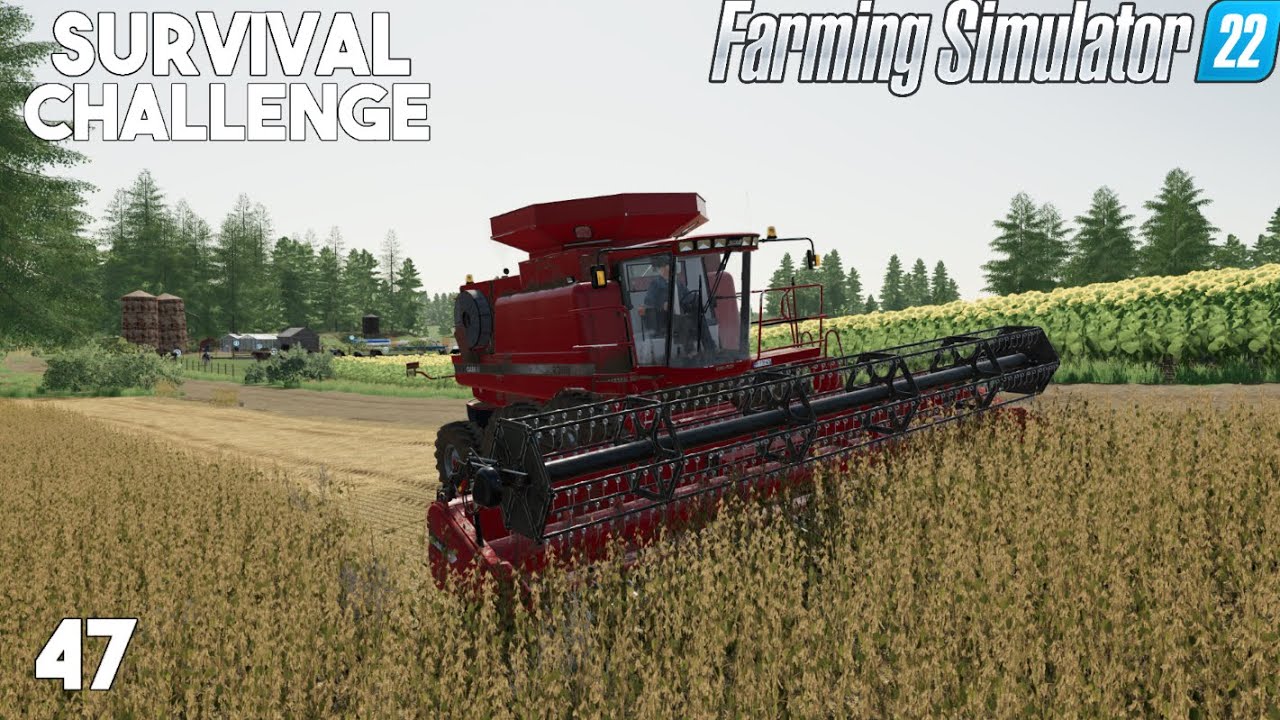 The Quick Turnaround After Harvest! Survival Challenge Farming
