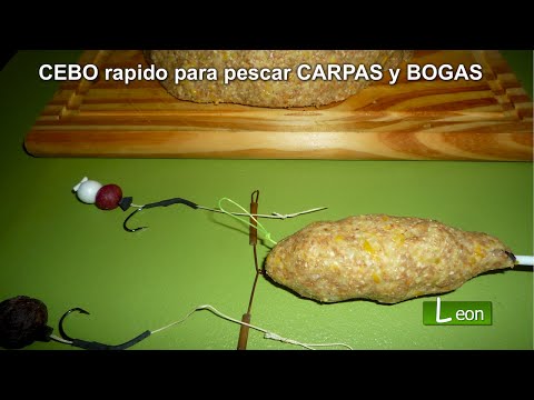 Video: Cómo Preparar Cebo Para La Carpa Cruciana