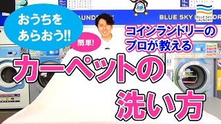 【5分でわかる】コインランドリーでカーペットの洗い方【プロが教える】