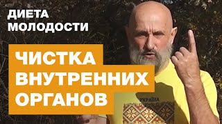 Чистка Внутренних Органов - Диета Молодости Чистка Внутренних Органов - Диета Молодости