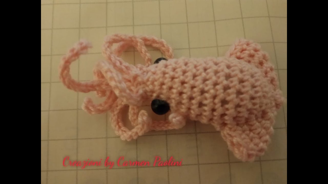 calamaro in miniatura per acquario