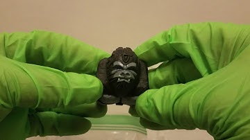 BEASTMAN UNBOX!! Plus special package from Grimlocks Forge!!