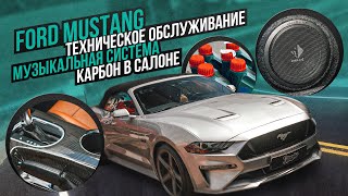 Ford Mustang. Карбон в салоне. Акустическая система. Техническое обслуживание. Окрас суппортов