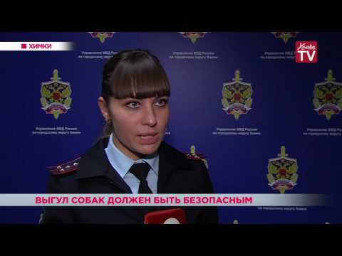 Выгул собак должен осуществляться в специальных местах