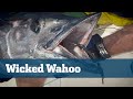 High Speed Trolling Wahoo - Florida Sport Fishing TV - From Hooking Them To Cooking Them