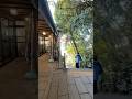江ノ島登るよー!!