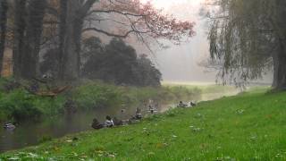 Video thumbnail of "Elżbieta Adamiak - Wyczaruję ci bajkę (Półsenne nuty)"