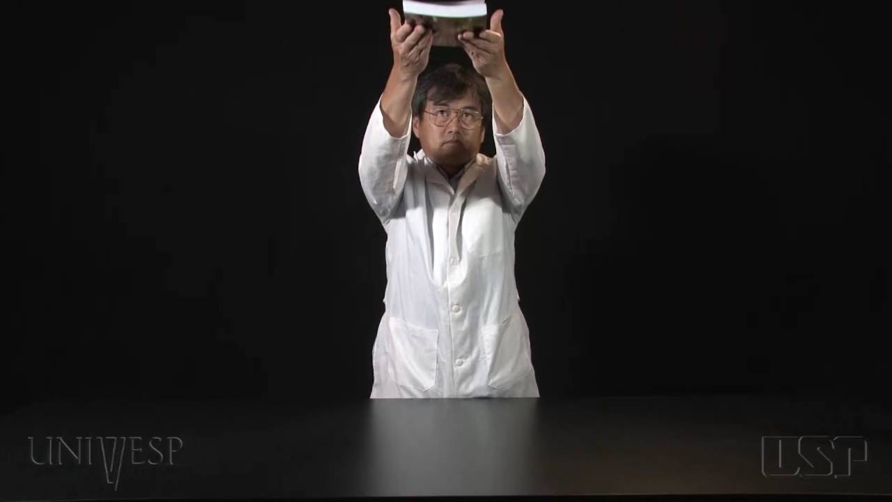 Tema 05 - Forças | Experimentos - Força gravitacional