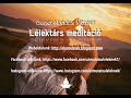 Lélektárs meditáció - Guzsik-Mohácsi Viktória