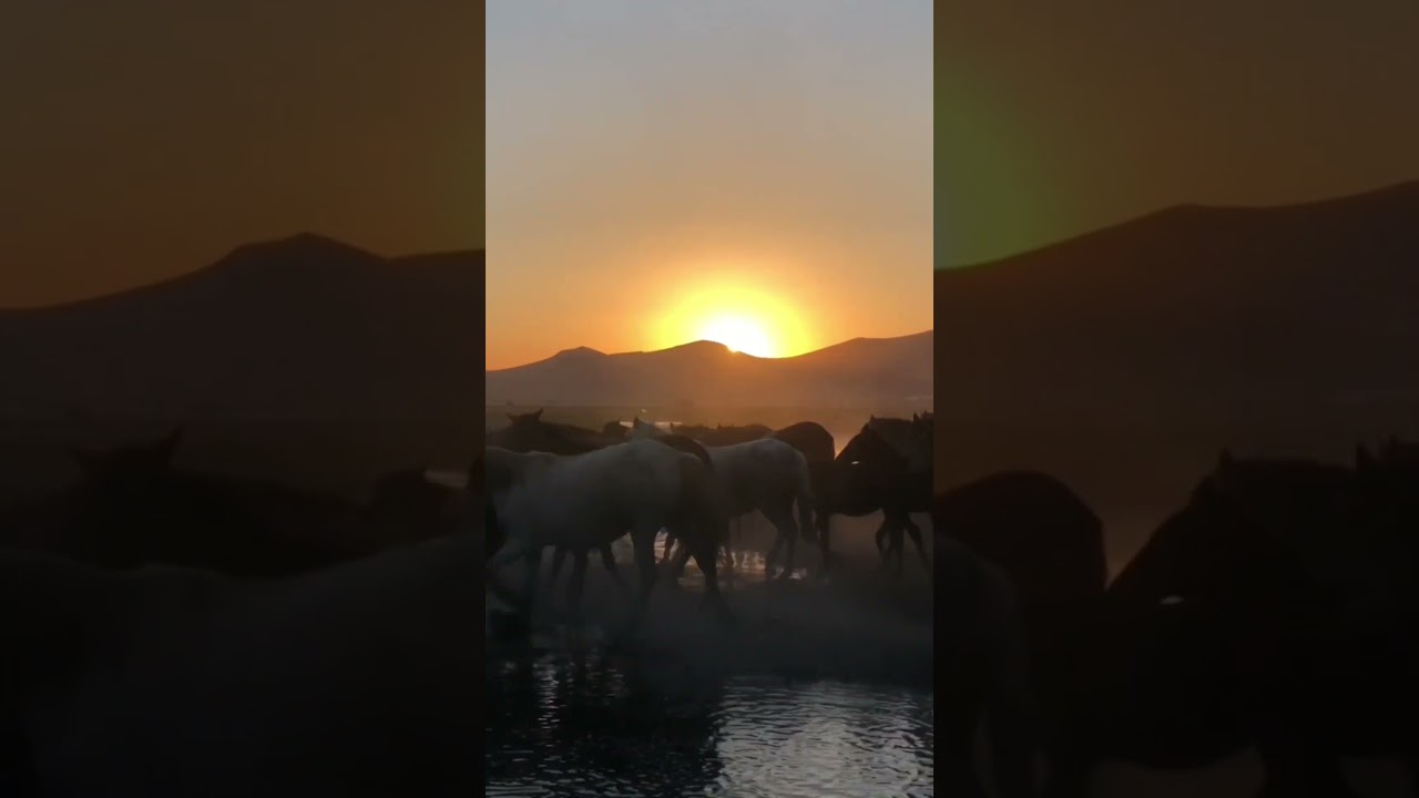 Heart touching recitation of Surah Ad Duha 