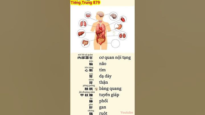 Nội soi dạ dày tiếng trung là gì