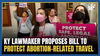 Kentucky lawmaker proposes shield bill to protect abortion-related travel and assistance