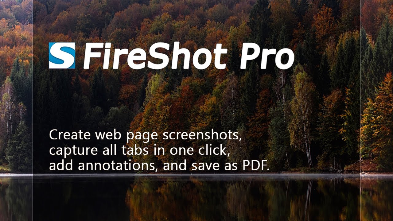 fireshot pro sale discount promo