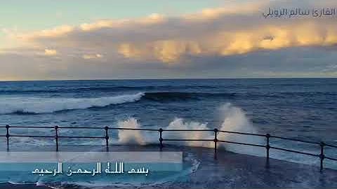 تلأوة هادئة من سورة يس/بصوت القارئ سالم الرويلي 💙