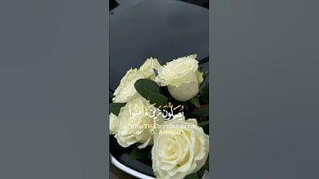 سورة أحزاب #قرآن #تلاوة #طمأنينه