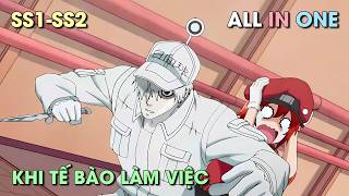 ALL IN ONE | Khi Tế Bào Làm Việc | SS1 + SS2 | Cell At Work | Review Anime | Tóm Tắt Anime