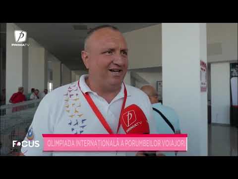 Olimpiada internațională a porumbeilor voiajori