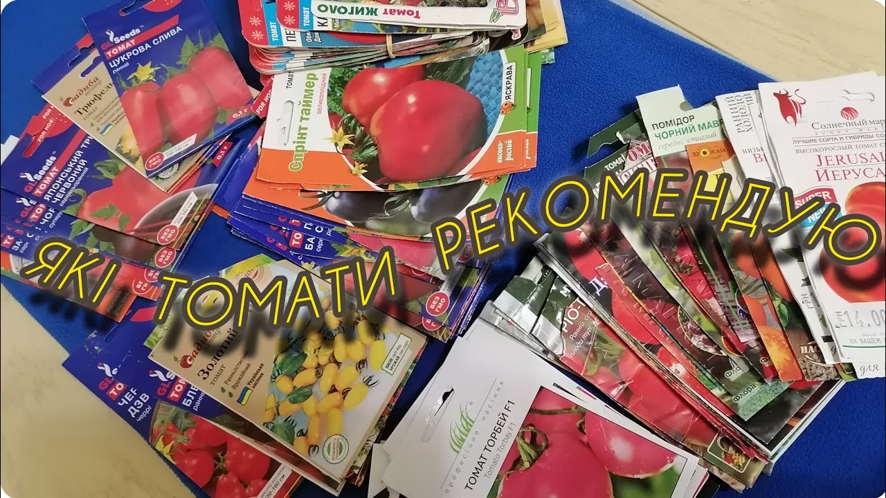 #Сорти і #гібриди ТОМАТІВ🍅Які рекомендую, які ні⁉️Яких фірм⁉️1 частина
