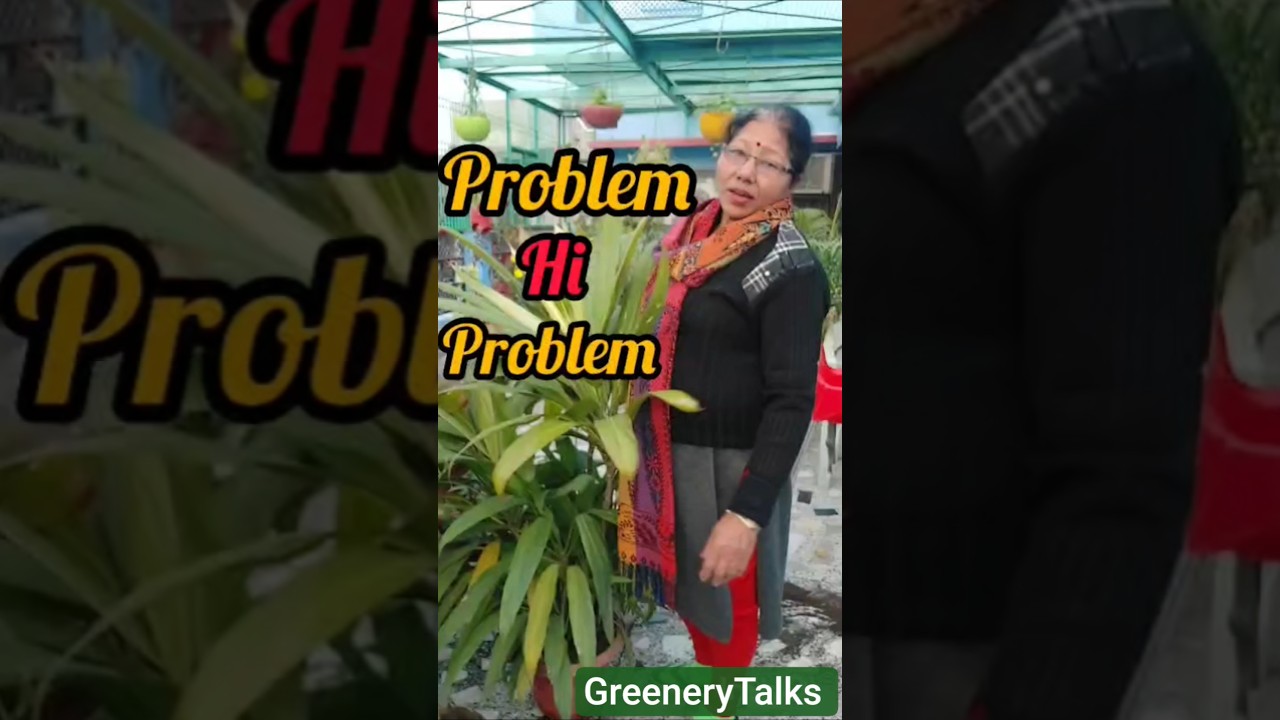 Problems hi problems 😔💔 kya karu?