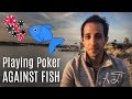 Poker Tips: Playing Poker Against Fish
