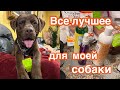 Покупка Спец.шампуней для Лабрадора… ШОППИНГ и не только ‼️