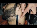 BEST 👍 Beard 🔥 STYLES FOR MEN | BEARD BARBER STYLE | Dari Cutting Style 2023 #beard