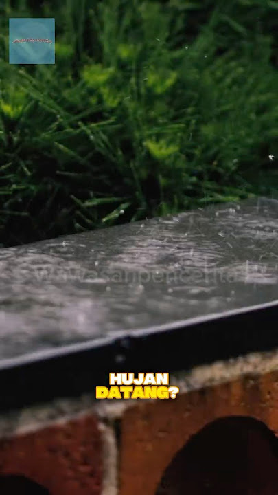 Manusia bisa mencium hujan sebelum turun! #shorts