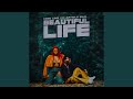 BEAUTIFUL LIFE Feat Article Wan
