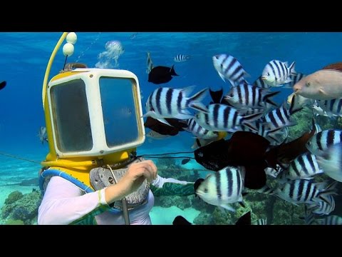 Film backdrop image for A Rare Underwater Experience in Beautiful Bora Bora (2015)