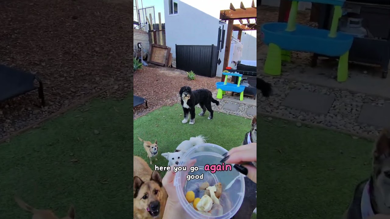 POV: You talk to your 