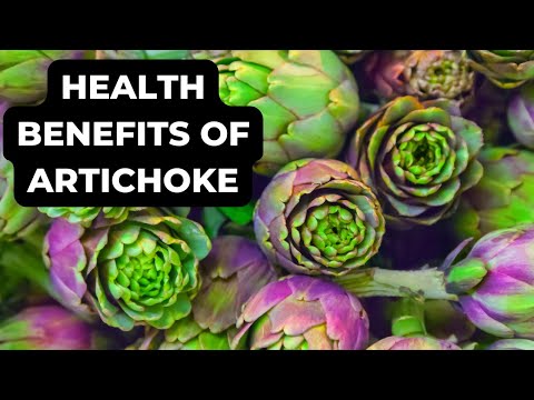 Unlocking Nature's Bounty: Exploring the Remarkable Health Benefits of Artichoke | A Guide