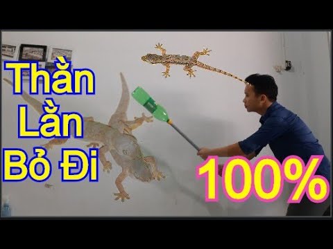 Video Thằn lằn không dám ở trong nhà với chiêu độc ai cũng... - youtube