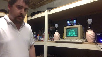 VT220 selfie terminal demo