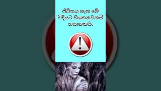 දන්නවද  ??? shortsfeed shorts sinhala unknownfacts