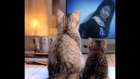 aruna subba