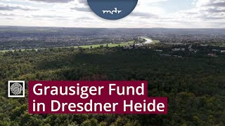 Rätsel Um Stark Verweste Leiche In Der Dresdner Heide Kripo Live Mdr