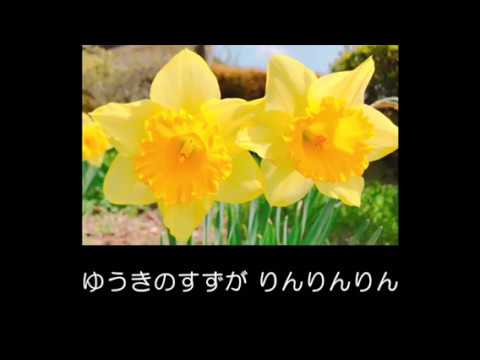 勇気りんりん - ドリーミング | Yuuki Rinrin | Dreaming (歌詞付き)(Cover by yako and hanabi)