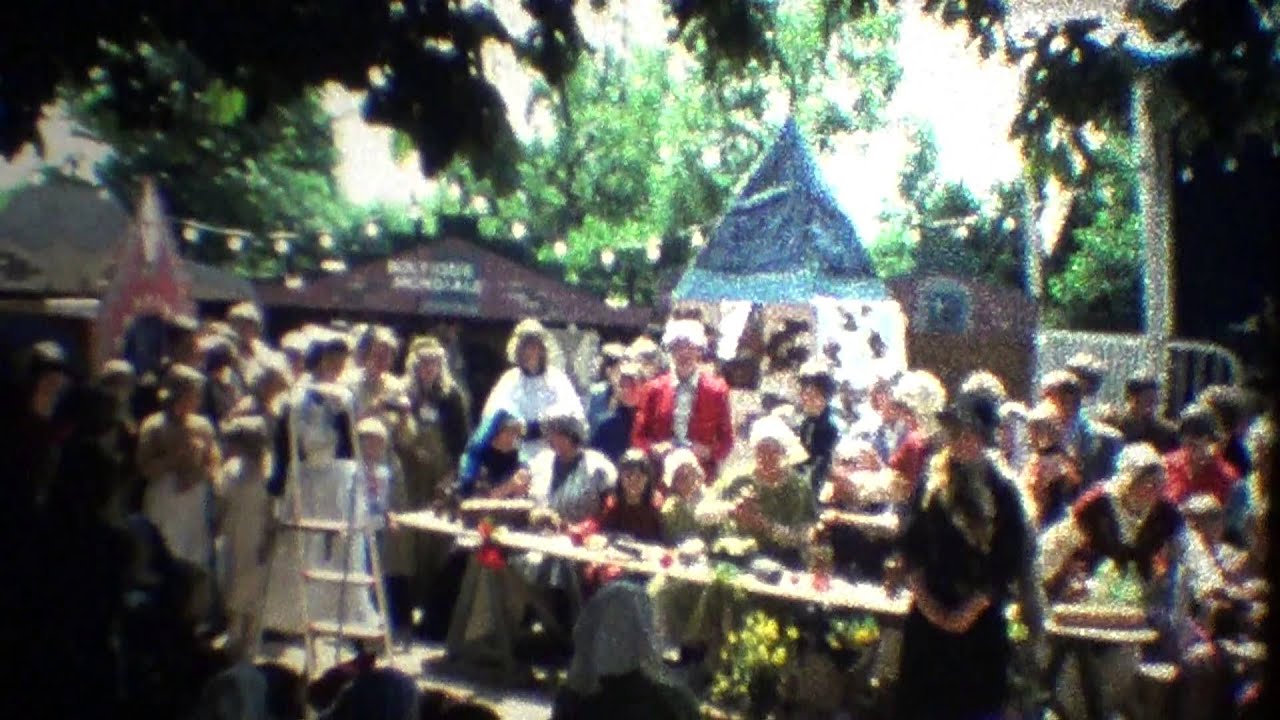 Montfoort 800 jaar stad / 650 jaar stadsrechten