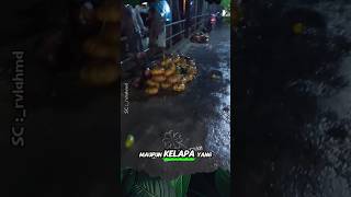 Download Lagu Panen Labu / Waluh dari atas Jembatan #shorts #buah #banjir MP3 Download Lagu Panen Labu / Waluh dari atas Jembatan #shorts #buah #banjir MP3