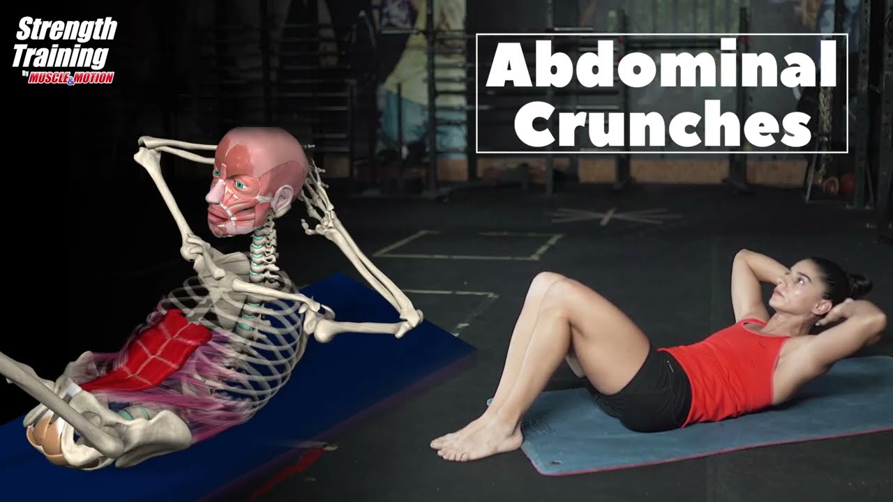 Rectus Abdominis Exercises