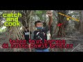 #EP212 Tahan Taut Haruan di Hutan Sawit Terbiar