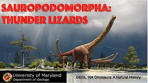 Lecture 20 Sauropodomorpha: Thunder Lizards (part I)