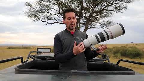 When to Use Back Button Focus for Wildlife Photography