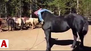 adana temizlikçi tushy por
