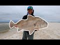 NEW Surf Fishing Bait Catches MONSTER Beach Fish!!!