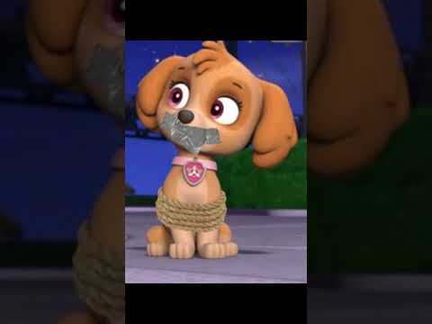 paw patrol pups save skye paw patrol pups save skye